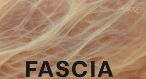 Tudta, hogy a fascia döntő szerepet játszik szervei &quot;zökkenőmentes&quot; működésében, és a fájdalmak jelentős részéért is felelős lehet? Ismerje meg, hogyan kapcsolódik mozgásszervi panaszaihoz a fascia beidegzése, és mit tehet azért, hogy újra fájdalommentesen éljen!