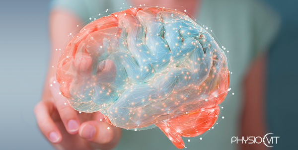 Az idegrendszer, mint a mozgás igazi karmestere – Hogyan fejleszthető a neuromuszkuláris kontroll?