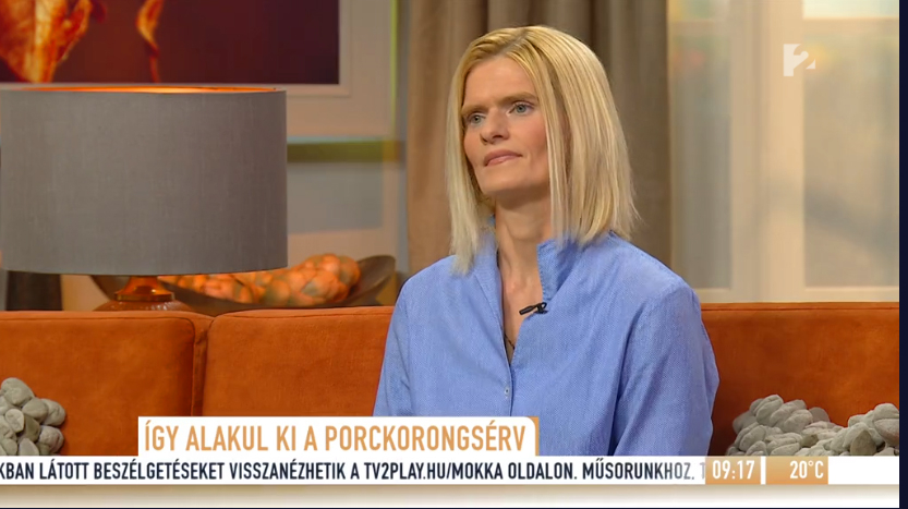 TV2 - MOKKA - Komplex mozgásterápia: Segíthet 